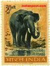 INDIAN ELEPHANT 0474 Indian Post