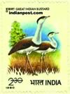 GREAT INDIAN BUSTARD 0986 Indian Post