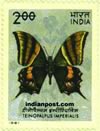 TEINOPALPUS IMPERIAILS 1022 Indian Post