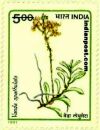 VANDA 1474 Indian Post