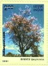 BAUHINIA 1017 Indian Post
