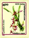 CYMBIDIUM BICOLOUR 1473 Indian Post