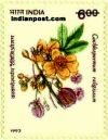 YELLOW SILK INDIAN TREE 1549 Indian Post